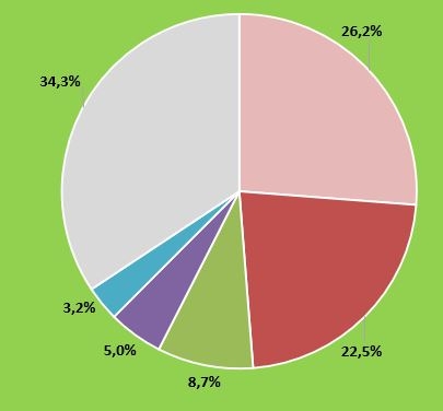 The structure of the Russian printing market, Printech 2023